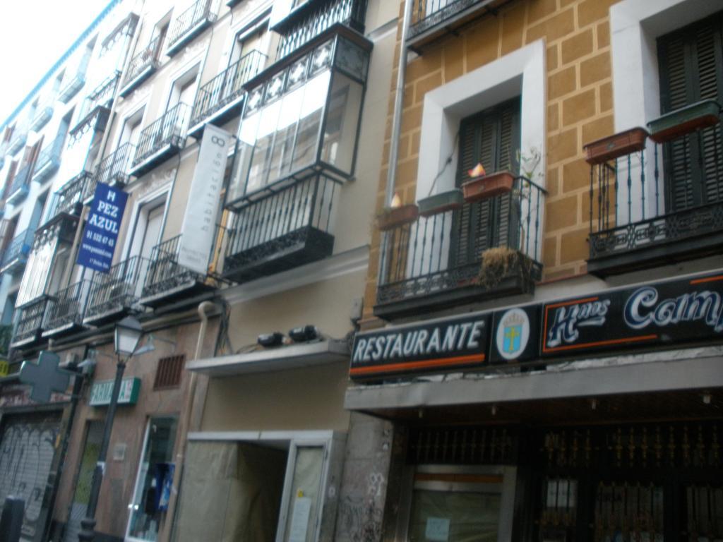 Hostal Del Pez Azul Hotel Madri Exterior foto